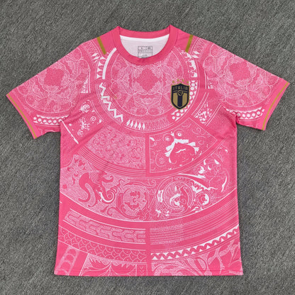Maillot Concept - Italie - Rose