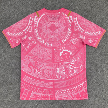 Maillot Concept - Italie - Rose